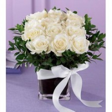 1 dozen White Roses in a Vase